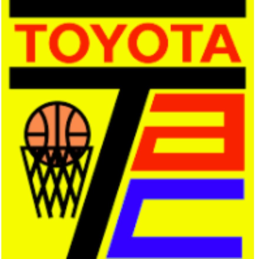 Who became bigger stars after Toyota's disbandment?