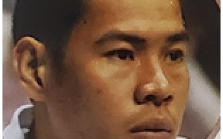 Happy Birthday, Homer Se ( May 31 )