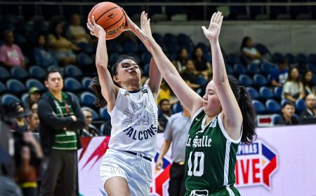 Adamson dispatches La Salle, 65-54