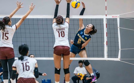 NU, UST win in UAAP High School Volleyball