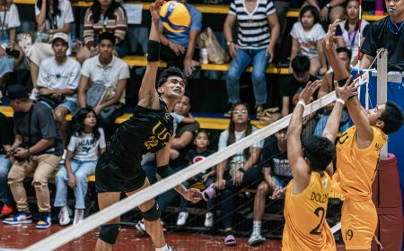 S87 Boys’ and Girls’ Volleyball: UST boys' complete first round sweep