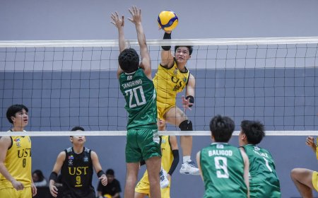 S87 Boys' Volleyball: UST, NU clinch playoff berths