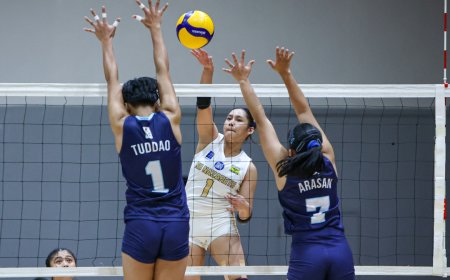 S87 Girls' Volleyball: NU continues mastery over Adamson