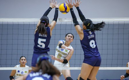 S87 Girls' Volleyball: NU downs FEU to zoom to solo lead