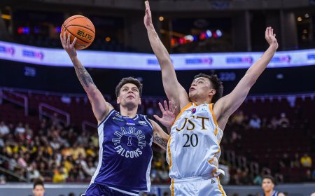 S87 Basketball: UP-FEU, UST-Adamson matchups set