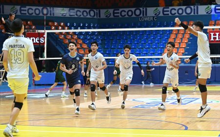 S87 Boys' Volleyball: Adamson punches last Final Four ticket, ousts FEU