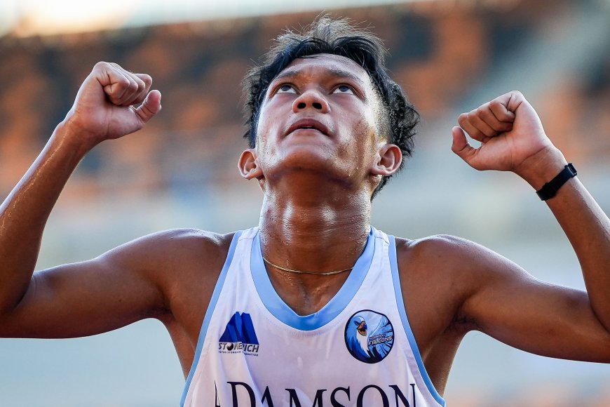 S87 High School Athletics: November 19, 2024 recap