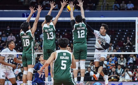 S87 Men's Volleyball: NU wins over La Salle