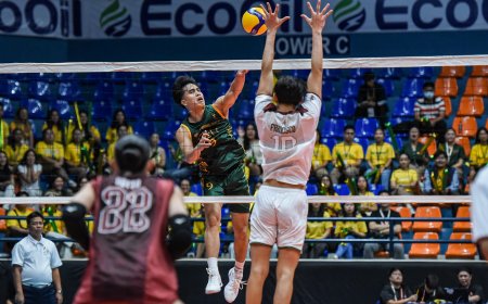 S87 Men's Volleyball: FEU waylays UP, 3-0