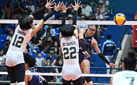 S87 Collegiate Volleyball: Adamson-UE, La Salle-UST matchups set