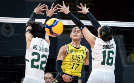 S87 Collegiate Volleyball: UST-Adamson, NU-UE matchups set