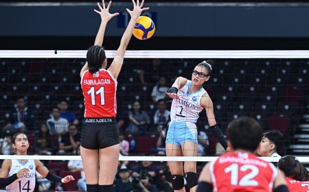 S87 Women's Volleyball: Adamson claws UE, 3-0