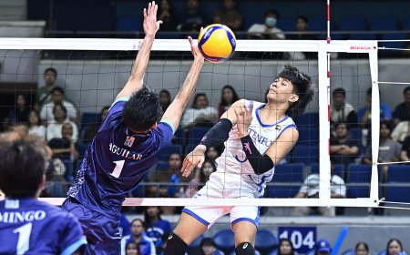 S87 Men's Volleyball: Ateneo takes down Adamson, 3-1