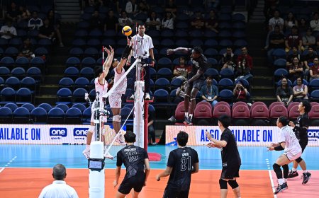 S87 Men's Volleyball: UP triumphs over UE in 4 sets