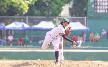 S87 Baseball: La Salle bounces back with walk-off win vs UP