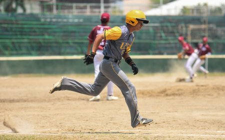 S87 Baseball: UST walks off UP in 9th inn comeback to clinch No. 3 seed