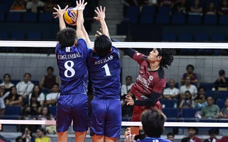 S87 Men's Volleyball: UP ends season with a bang in 5-set reverse sweep of Adamson
