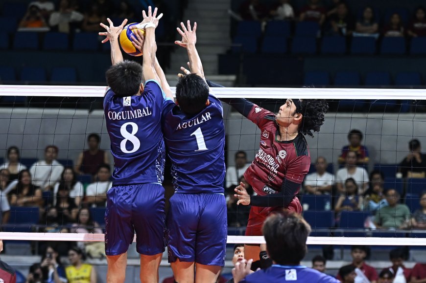 S87 Men's Volleyball: UP ends season with a bang in 5-set reverse sweep of Adamson